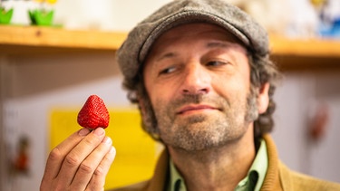 Wissenswertes rund um die Erdbeere | Bild: BR/André Georschel