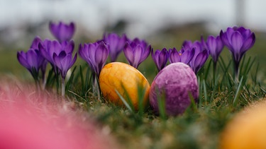 Gefärbte Eier vor Frühlingsblüher. | Bild: BR