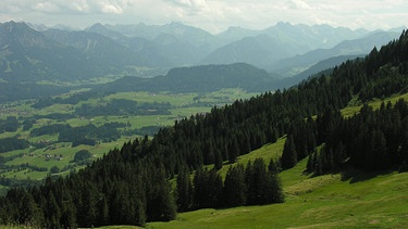 Die Täler und Hügel westlich von Oberstdorf zählen zu den schönsten Flecken des Allgäus | Bild: BR / Werner Teufl