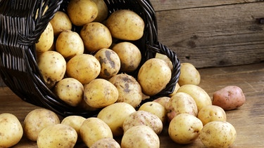 Kartoffeln  | Bild: Colourbox