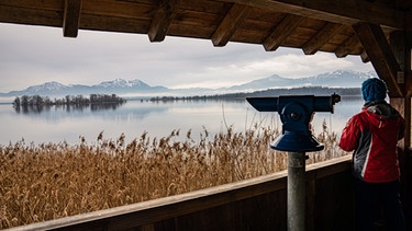Beobachtungsturm Ganszipfel | Bild: BR/ Nina Schlesener