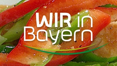Der "Wir in Bayern"-Rezepte-Newsletter | Bild: BR