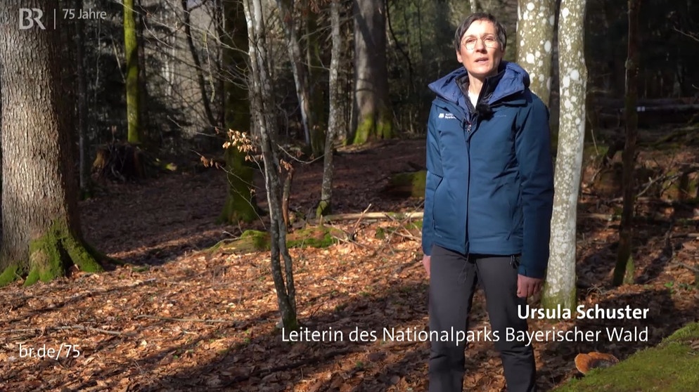 Ursula Schuster | Bild: Bayerischer Rundfunk 2024