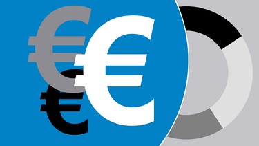 Illustration: Euro-Zeichen neben einem Tortendiagramm | Bild: BR